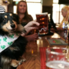 Yorkshire's best dog-friendly pub crowned